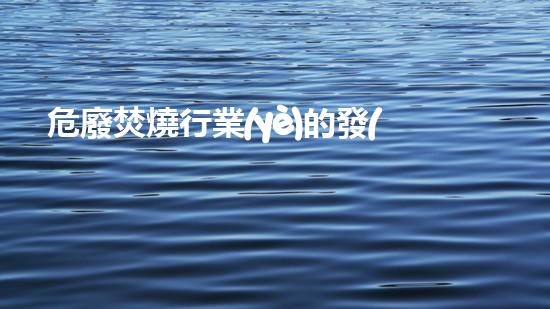 危廢焚燒行業(yè)的發(fā)展未來城市：可持續(xù)發(fā)展的藍(lán)圖還是空中樓閣？